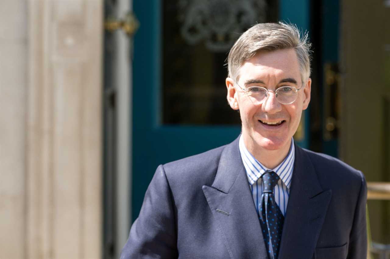 Top mandarin backs Jacob Rees-Mogg’s plans to order Whitehall staff to get behind desks
