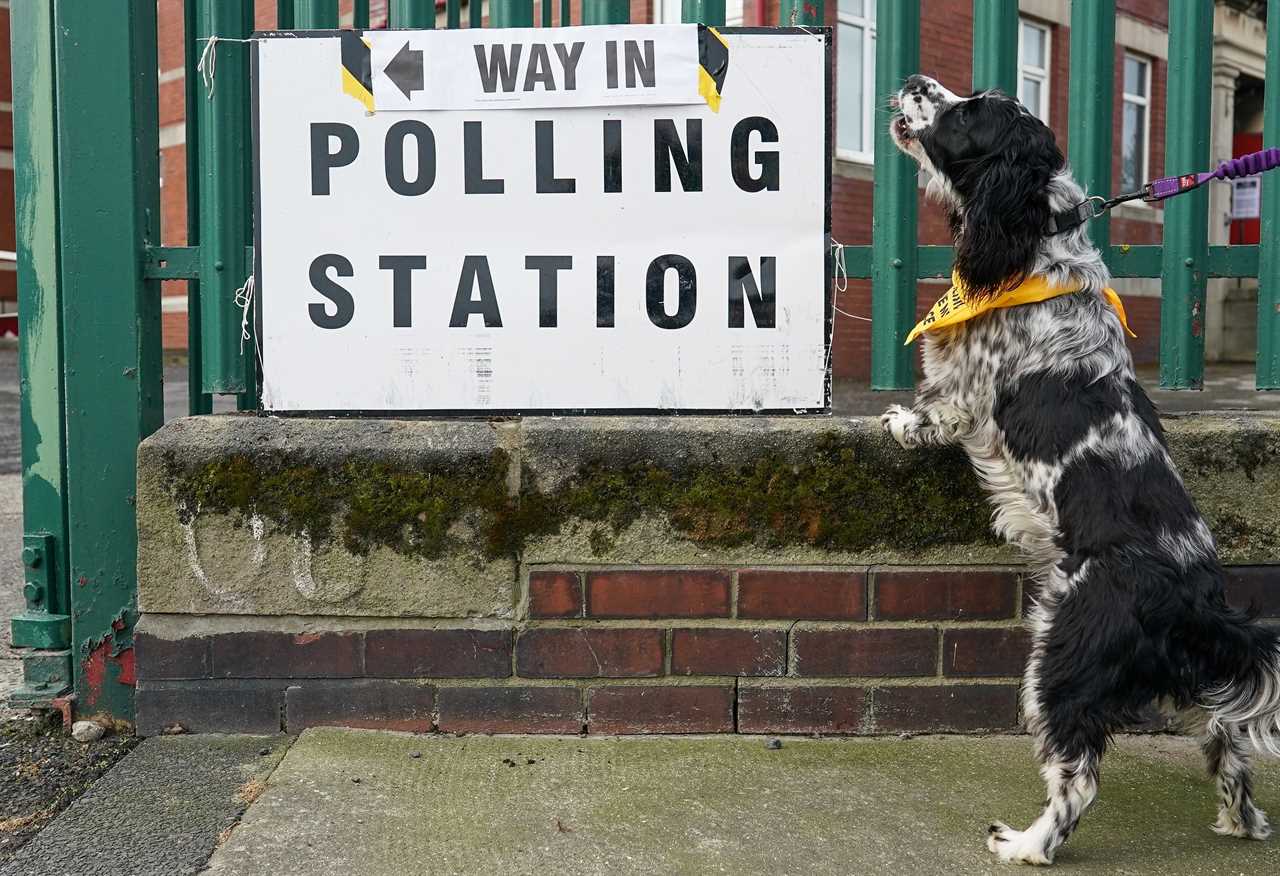 Local elections 2022: Voters go to the polls across Britain – key elections and timings explained