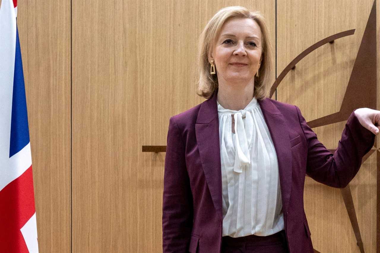 Britain has ‘no choice’ but to rip up Northern Ireland protocol, Foreign Secretary Liz Truss insists