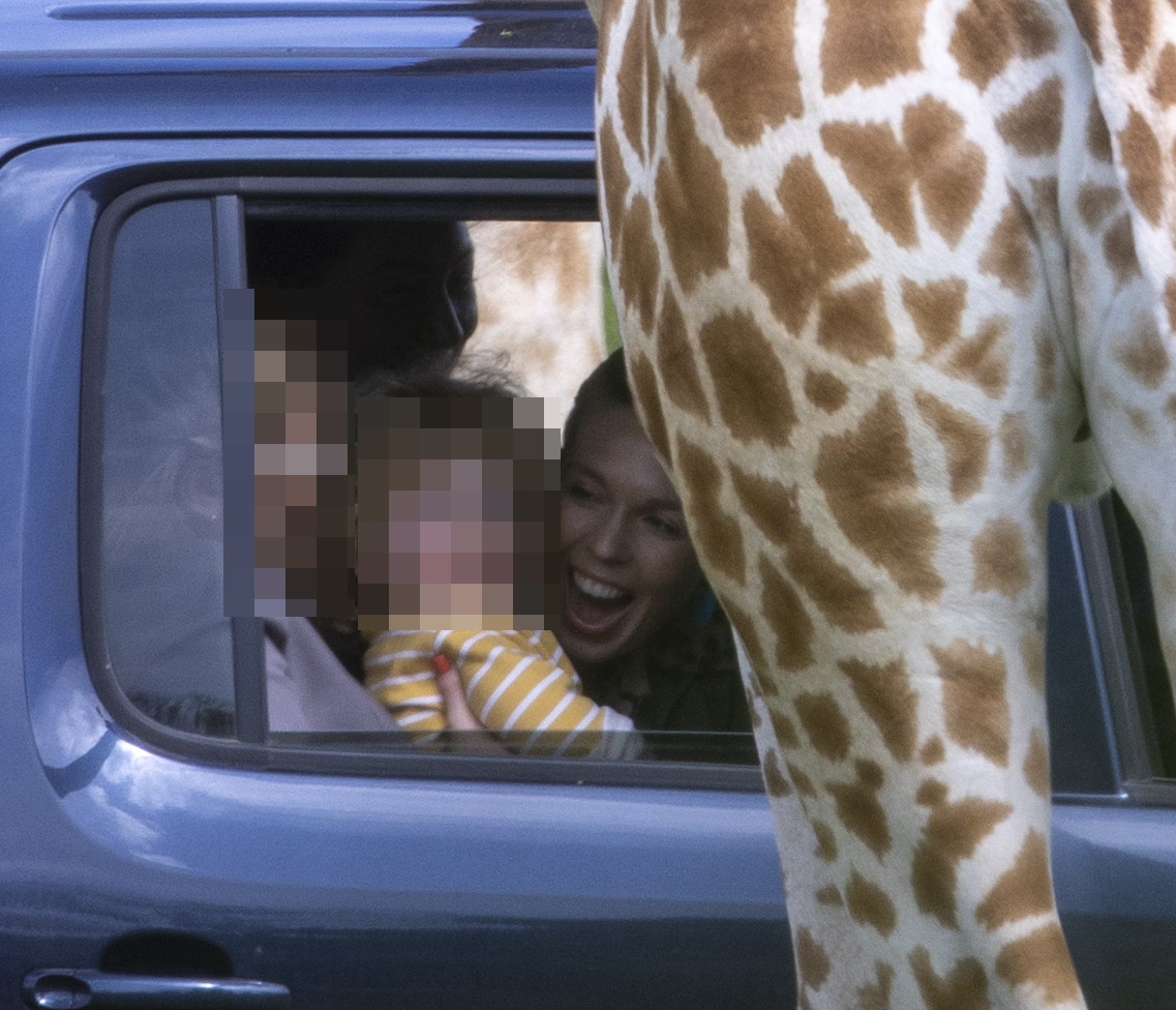 Carrie Johnson’s son Wilfred squeals with joy as giraffes approach him at safari park