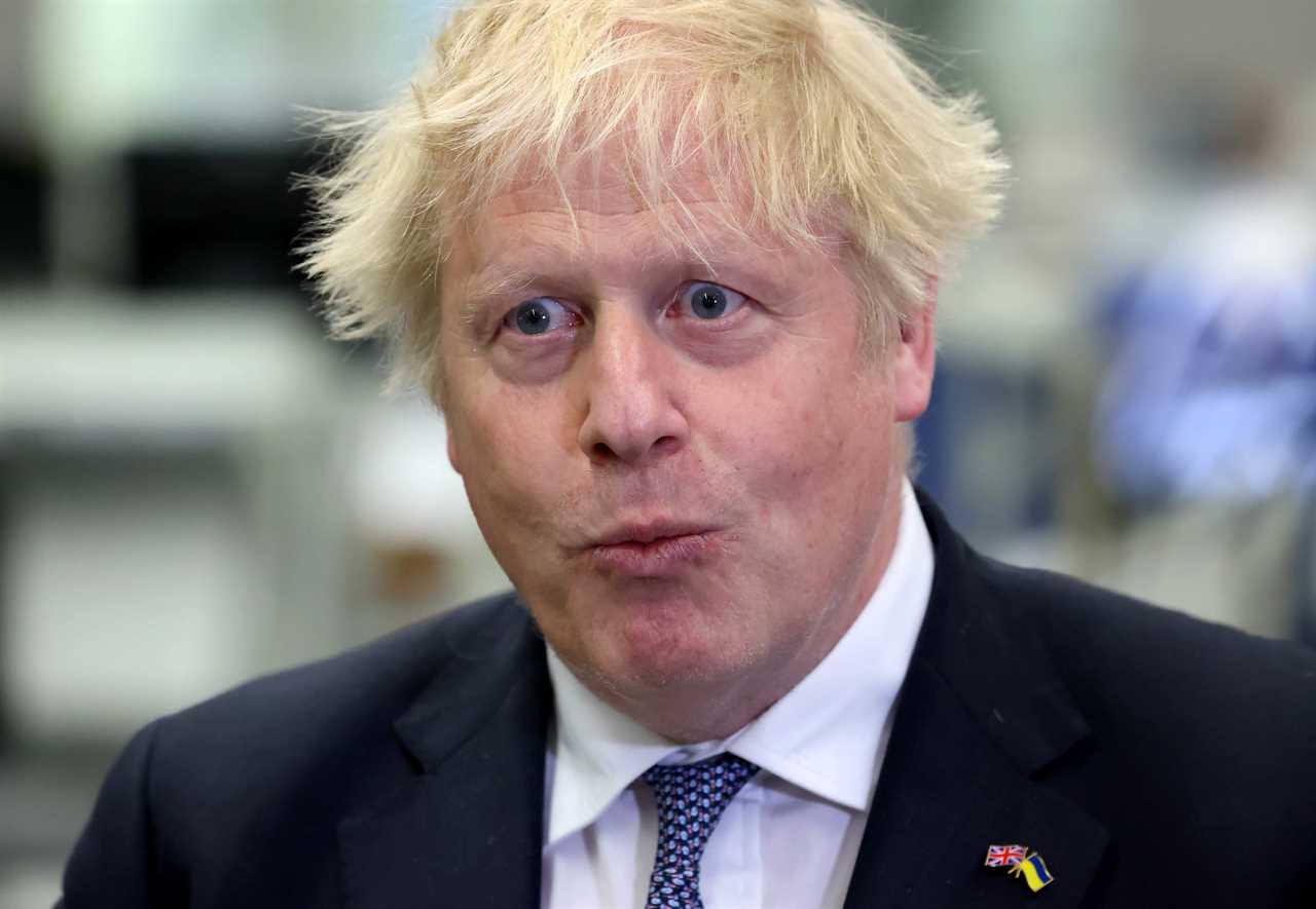 Boris Johnson tells EU he is ‘sticking up’ for peace as he prepares to blow up Brexit deal over Northern Ireland row