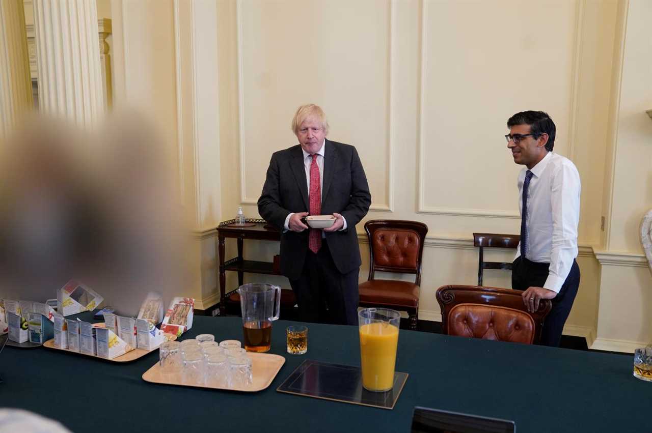 Boris Johnson’s birthday party pics revealed as damning Sue Gray report finally published