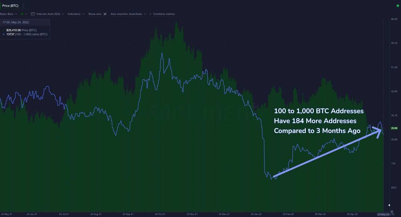 ‘Extreme fear’ grips Bitcoin price, but analysts point to signs of a potential reversal