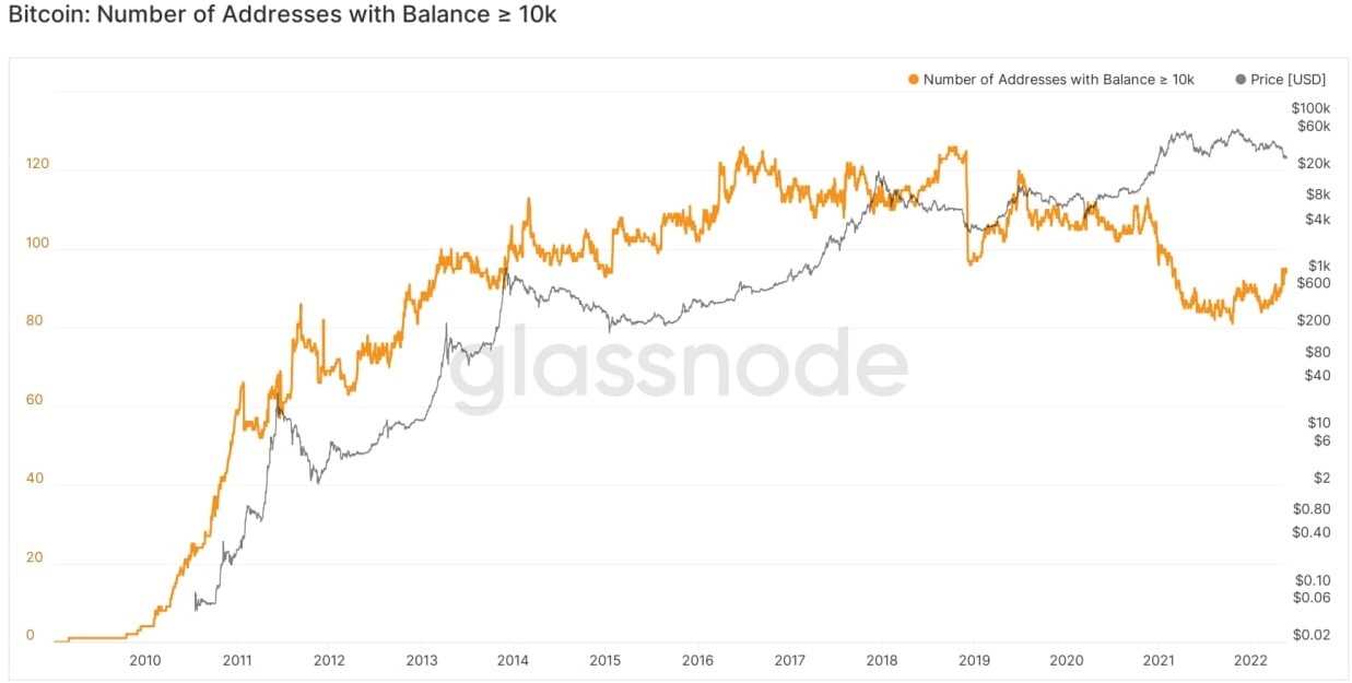 3 metrics contrarian crypto investors use to know when to buy Bitcoin