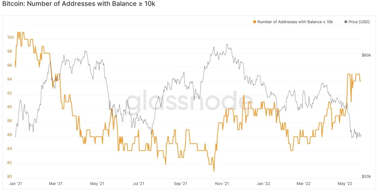 3 metrics contrarian crypto investors use to know when to buy Bitcoin