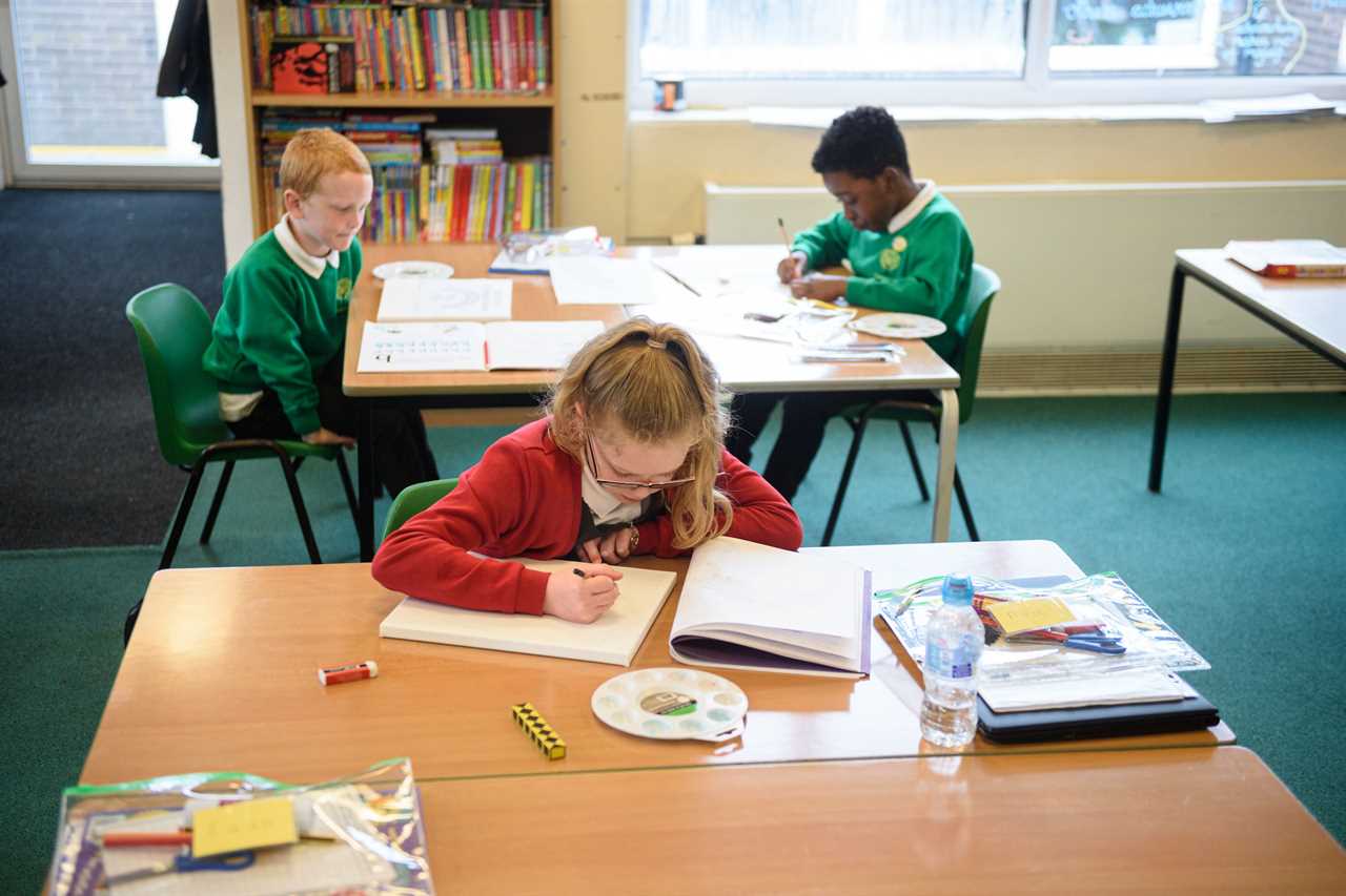 Covid catch-up tutoring ‘revolution’ fails after fraction of of pupils take part in government scheme