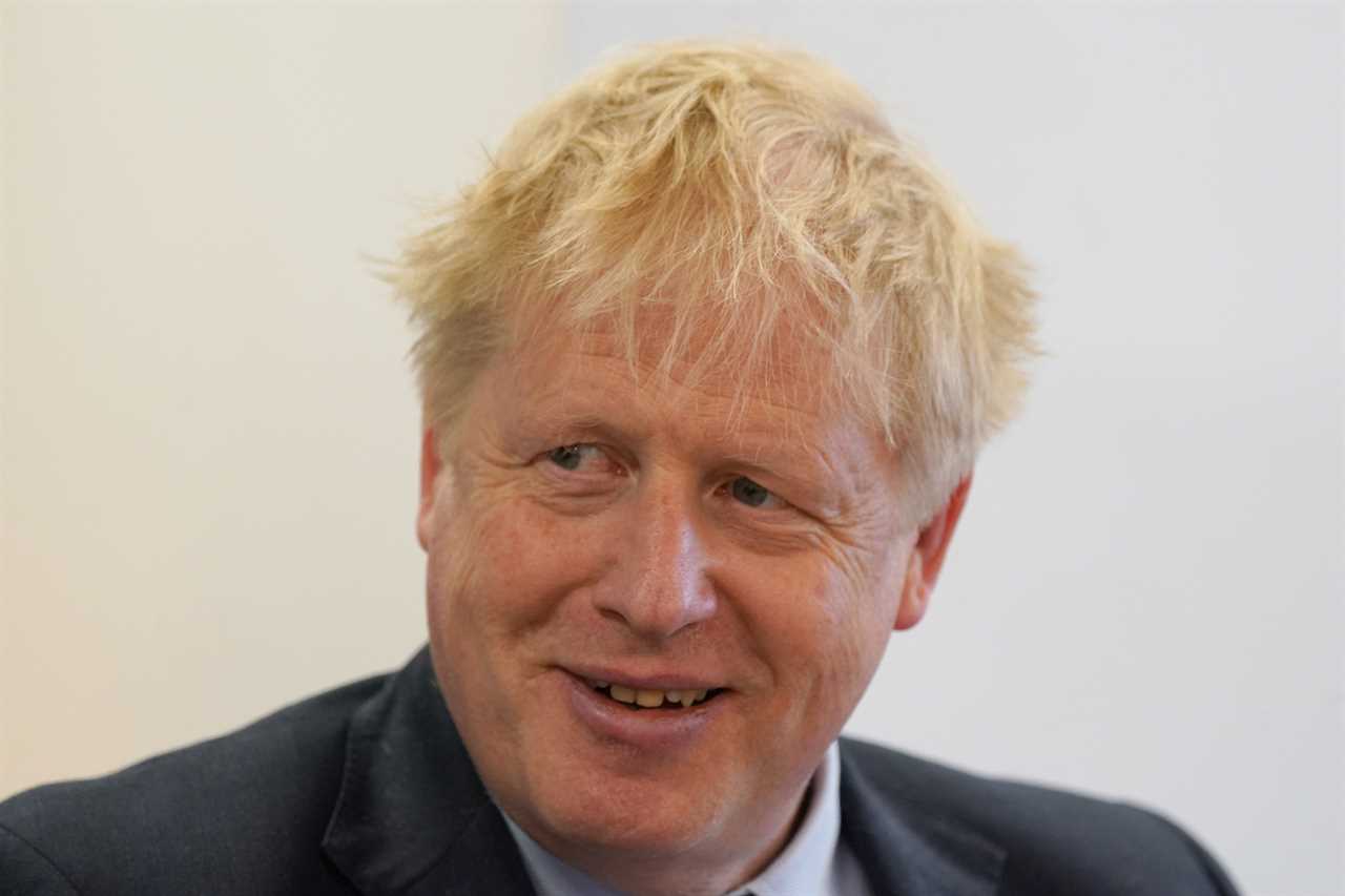 Boris Johnson’s enemies have until autumn to oust him or it will be too late, top Tory rebel warns
