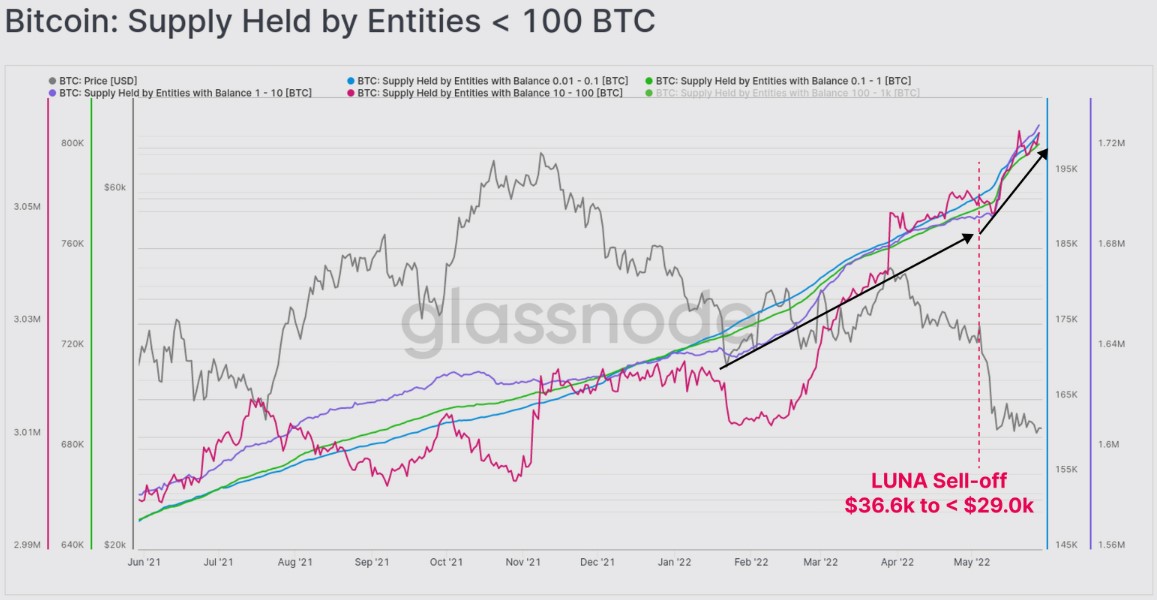 On-chain data shows Bitcoin long-term holders continuing to ‘soak up supply’ around $30K