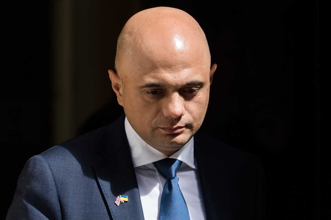 Cabinet ministers fear Sajid Javid will ask for more funds for the NHS despite £12billion cash injection