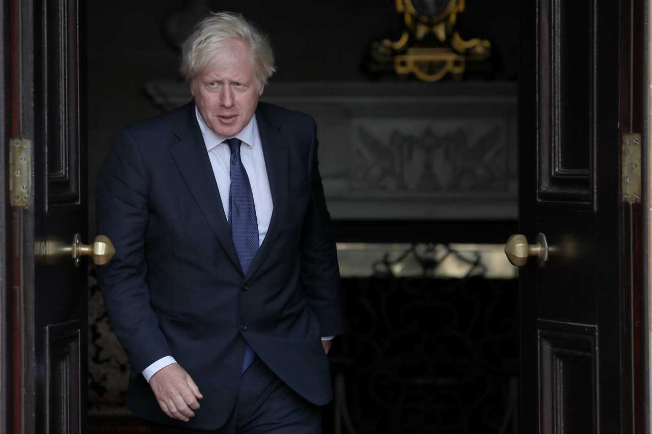 Remainer plotters trying to oust Boris Johnson are ‘thick and dangerous’, allies say