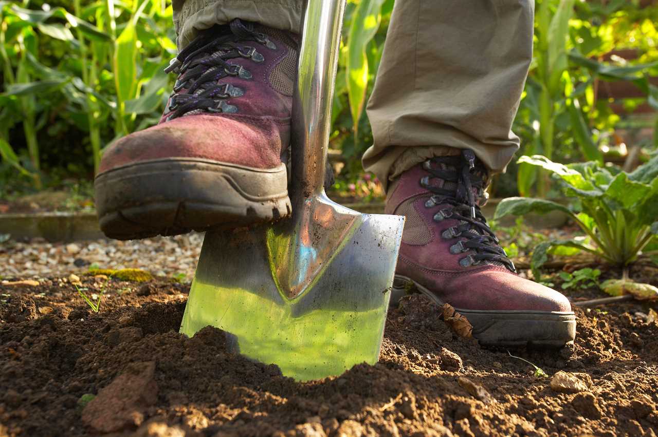 How pottering in the garden could boost cancer survival chances