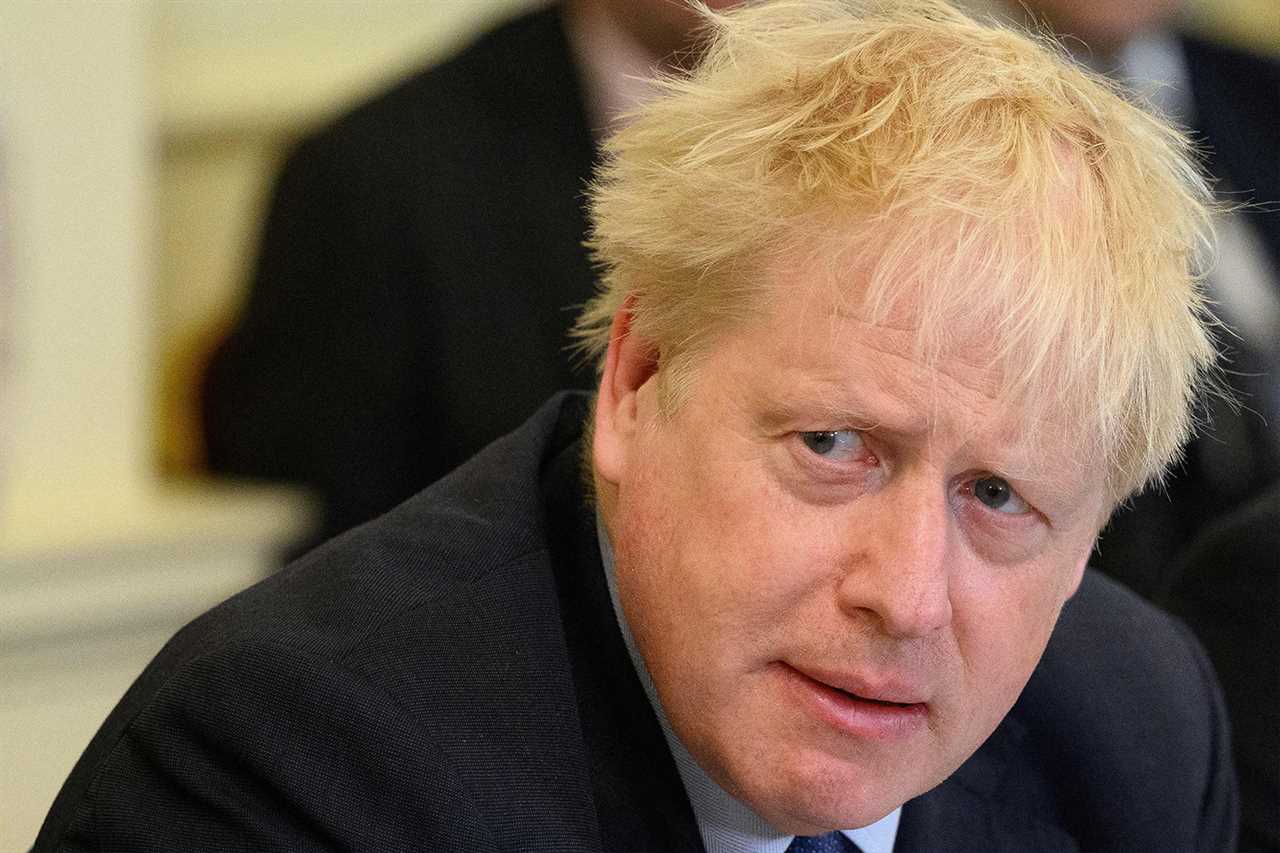 Rebel plot for Boris Johnson to face ANOTHER Tory leadership challenge must be stopped, Cabinet allies warn