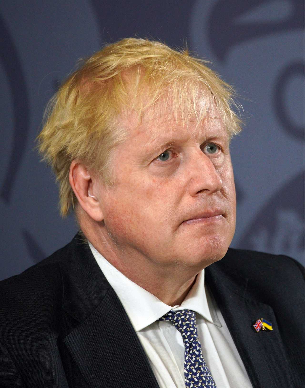 Boris Johnson will NOT face another confidence vote for at least a year