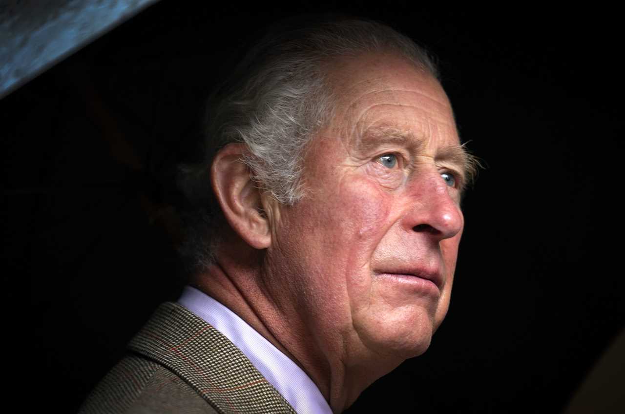 Prince Charles & No10 in major diplomatic row over royal’s comments on Rwanda policy