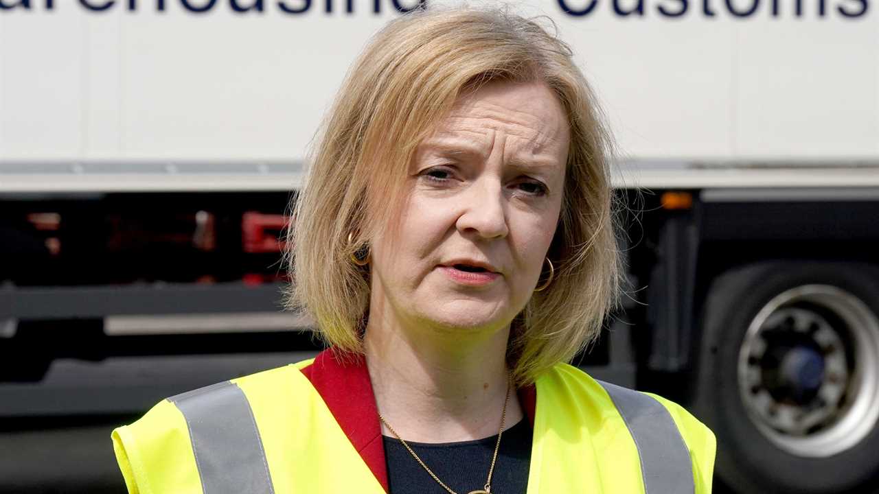 Liz Truss slams snobbish Brits who dislike their country and side with the EU on every issue