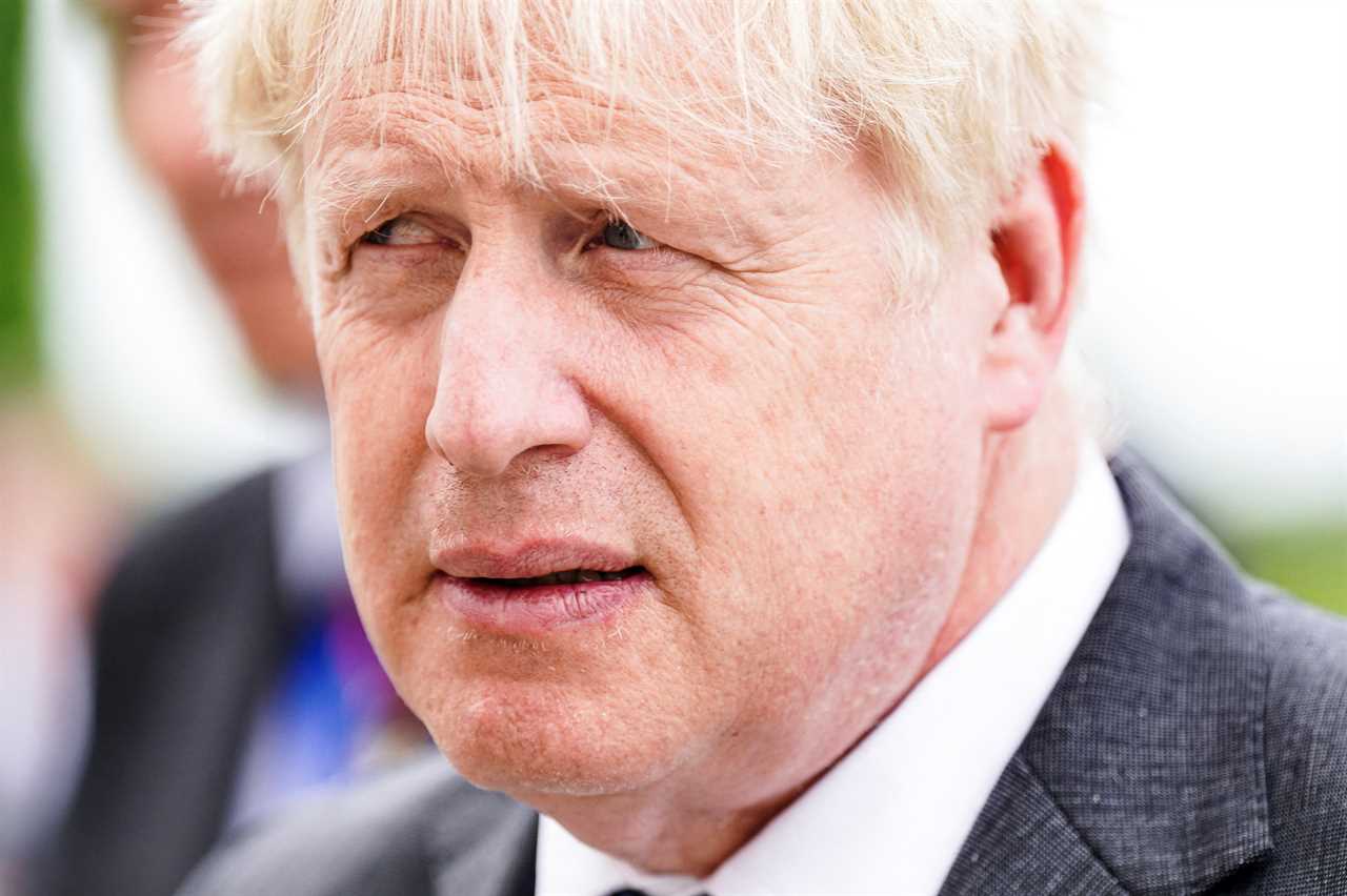 Boris Johnson’s own cost of living tsar called for him to QUIT