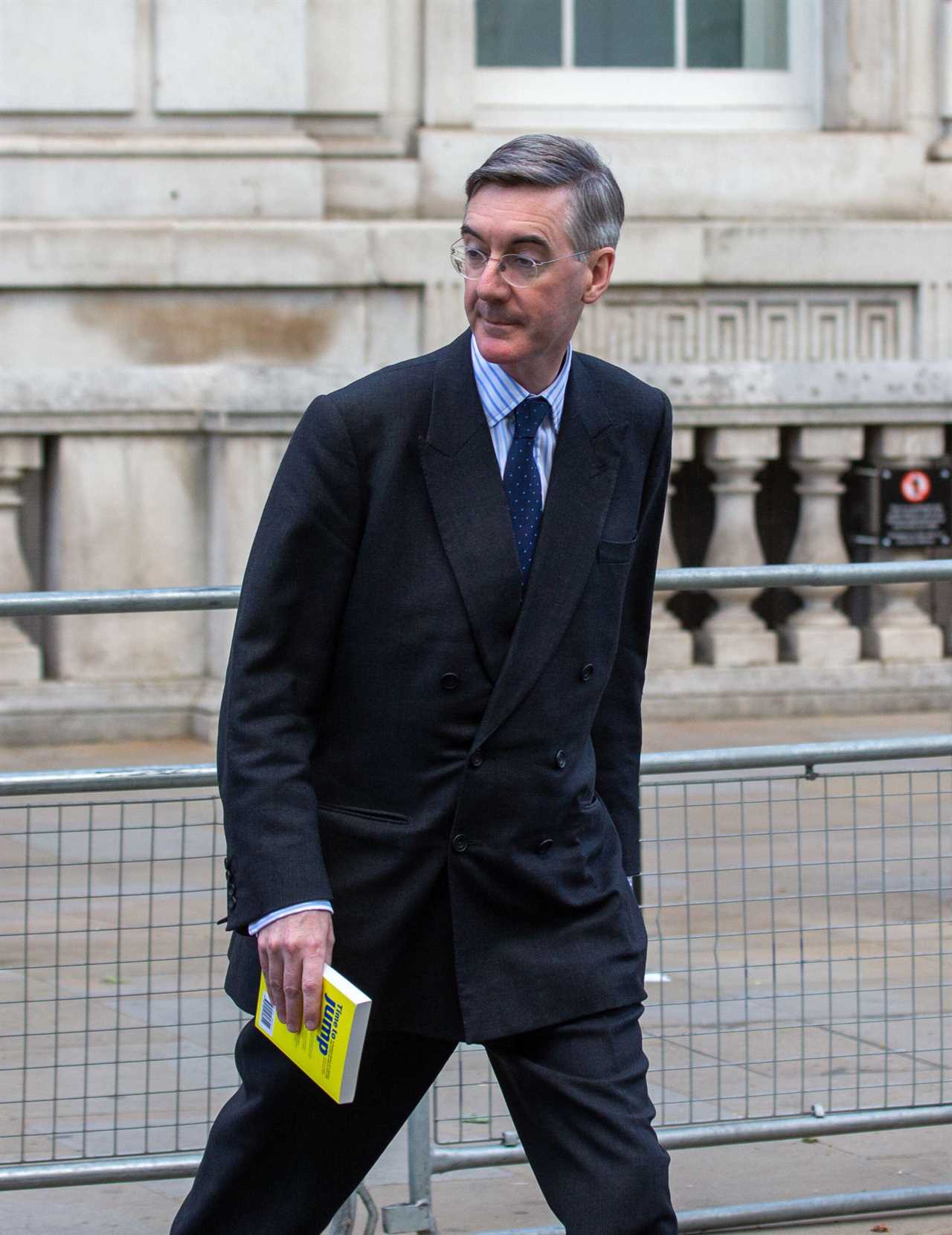 How many children does Jacob Rees-Mogg have?