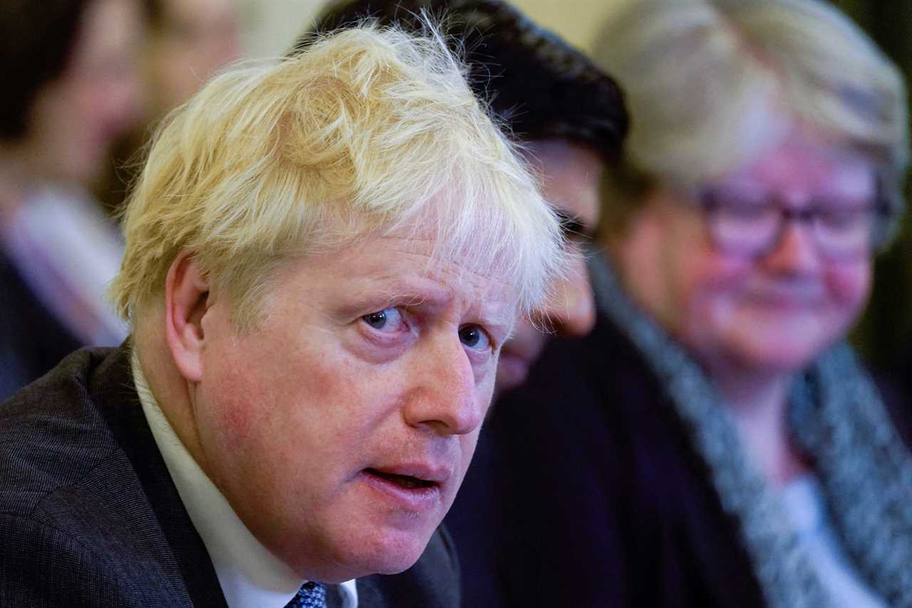 Red Wall Tories call on Boris Johnson to ditch eco levies and cut taxes