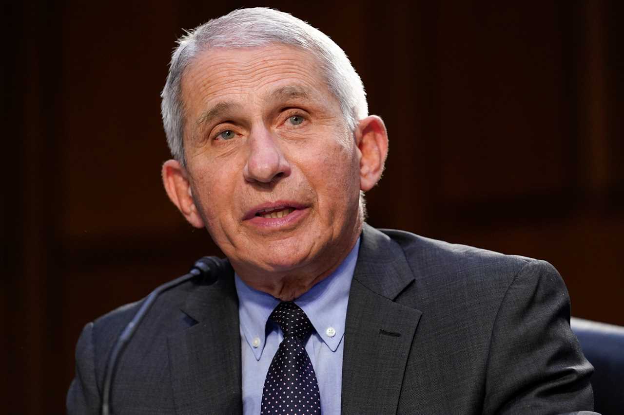 Where is Dr Anthony Fauci today?