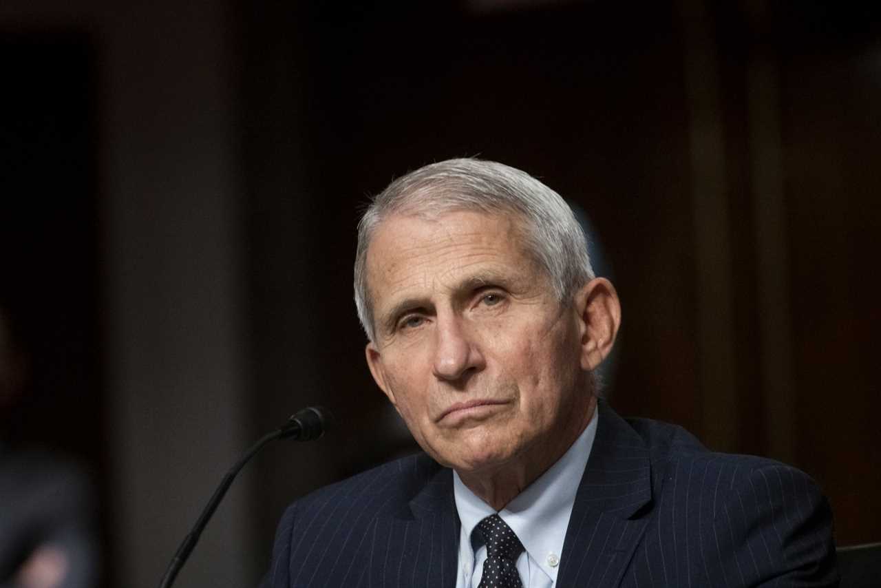 Where is Dr Anthony Fauci today?