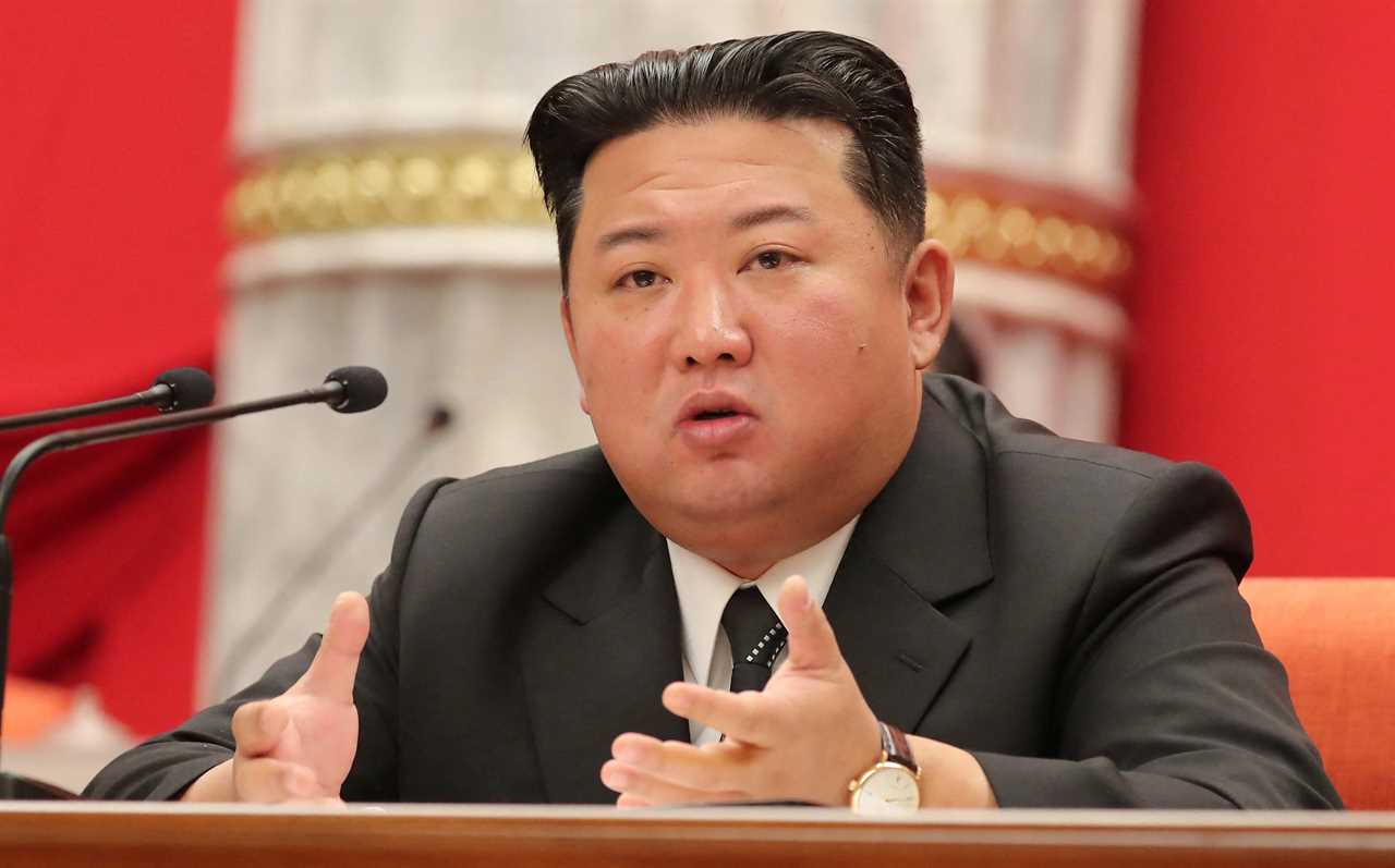 Mystery stomach disease infects hundreds in North Korea as quarantine centres set up & Kim Jong-un admits ‘epidemic’