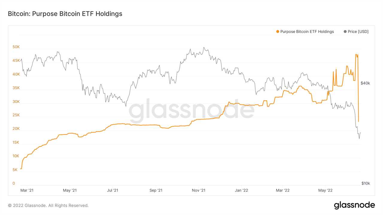More 'forced selling' ahead? Purpose Bitcoin ETF holdings plunge by 51% in biggest outflow ever