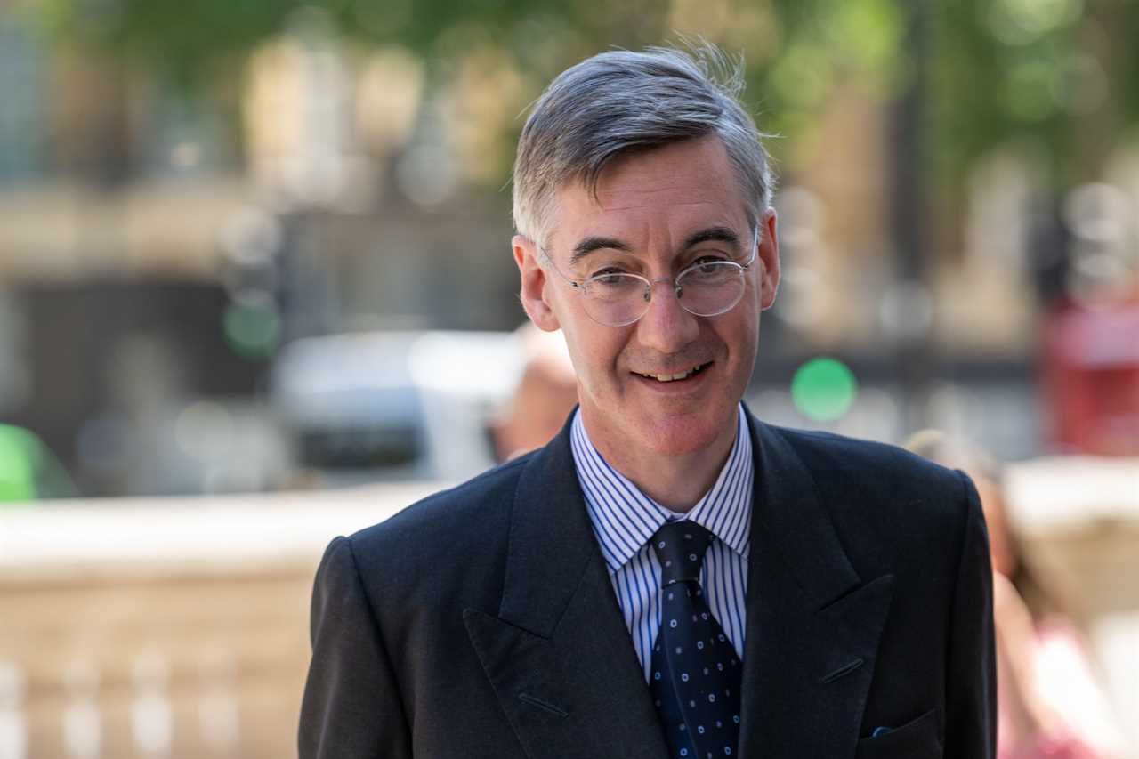 I’ll listen to Sun readers’ views on Brexit red tape ahead of ‘suspicious’ Remoaner lobbyists, says Jacob Rees-Mogg