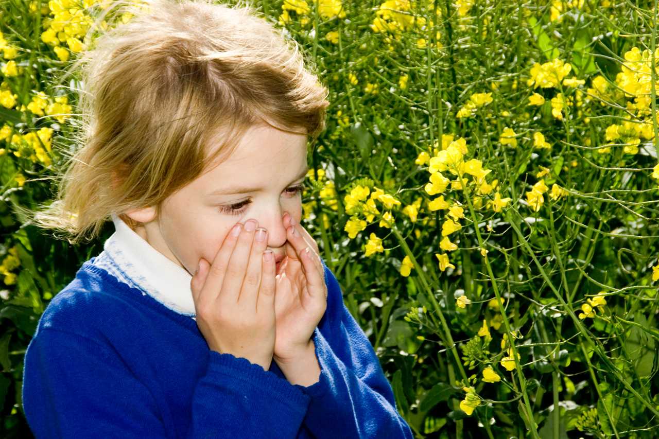 Hay fever sufferers snapping up ‘miracle cure’ tablets only recently made available without a prescription