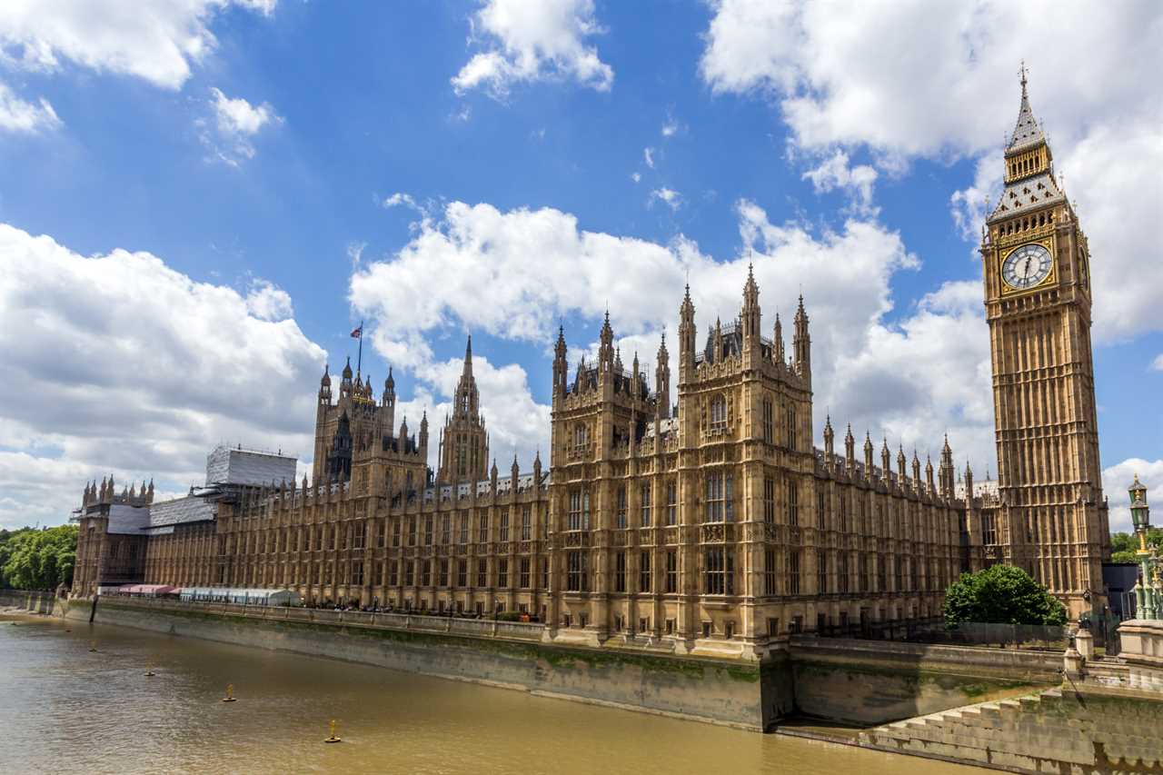 Parliament could get dim lighting, calming music and fish tanks so snowflake MPs and visitors don’t get overwhelmed