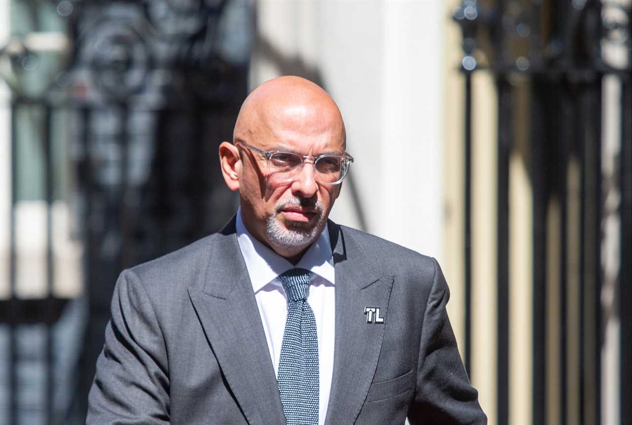 Nadhim Zahawi appointed Chancellor by embattled PM just hours after Rishi Sunak resigned