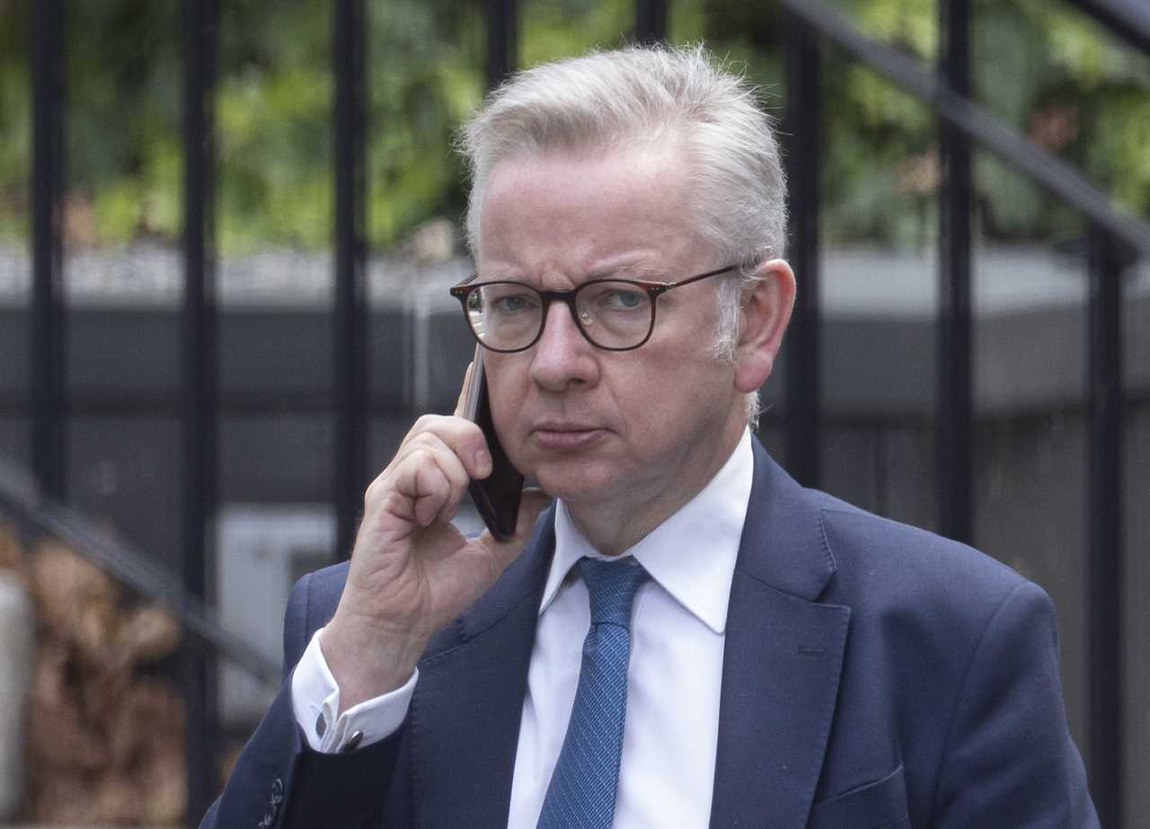 Michael Gove SACKED by defiant Boris Johnson after PM digs in against Cabinet coup