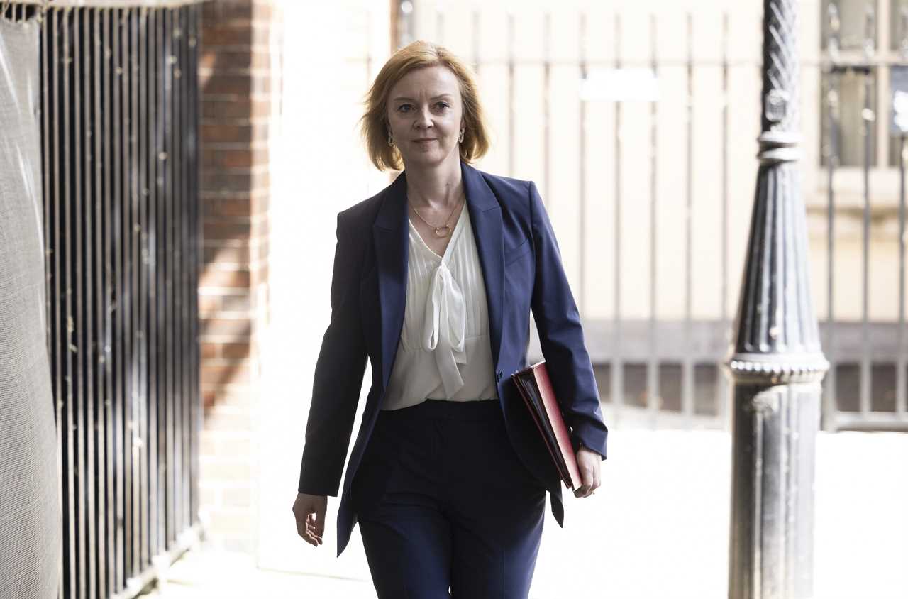 Liz Truss officially announces bid for Tory leadership with vow to reduce tax ‘from day one’