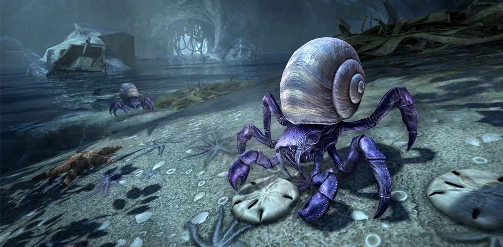 Underground Hermit Crab in Elder Scrolls Online