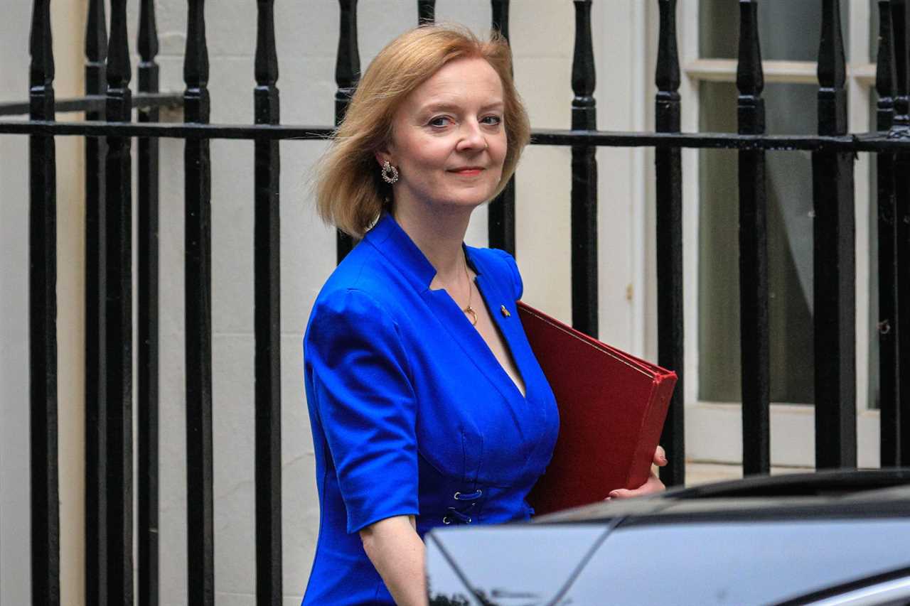 Liz Truss ‘would walk away from European Human Rights judges’ over Channel migrants