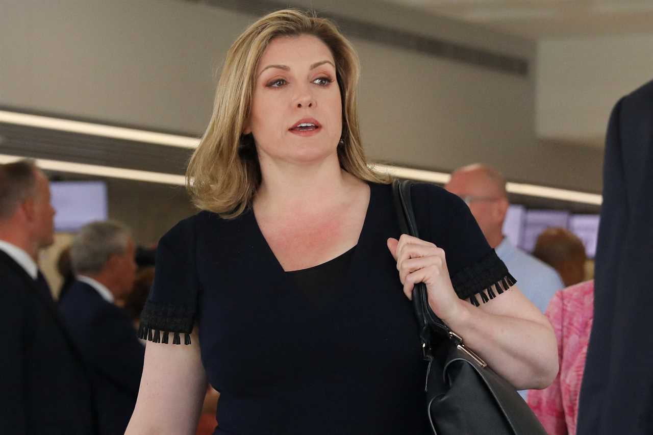 Penny Mordaunt is in second place on public declarations