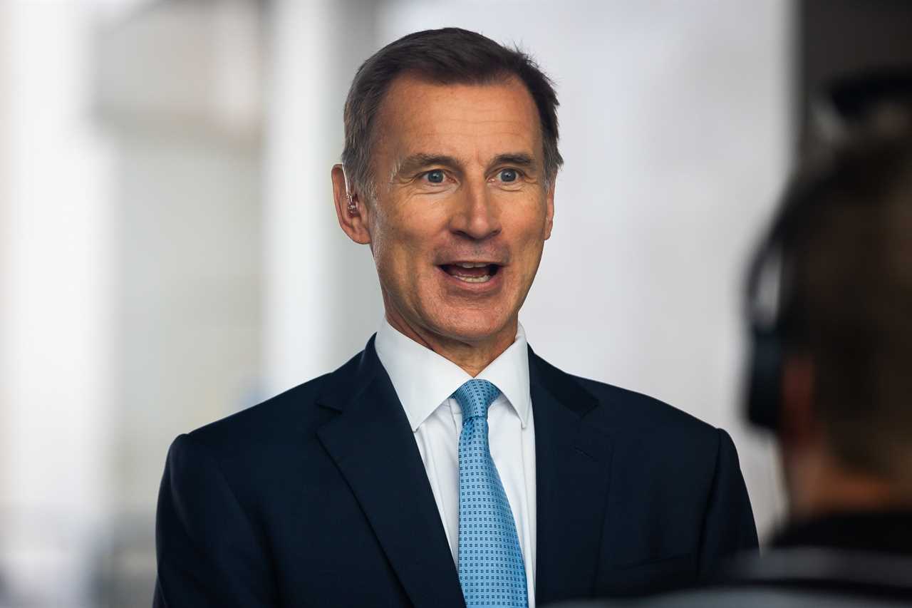 Jeremy Hunt is running as a "safe pair of hands" candidate