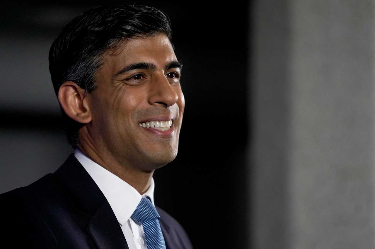 Rishi Sunak stopped Covid chaos from ruining Britain – now he’s the man to run it