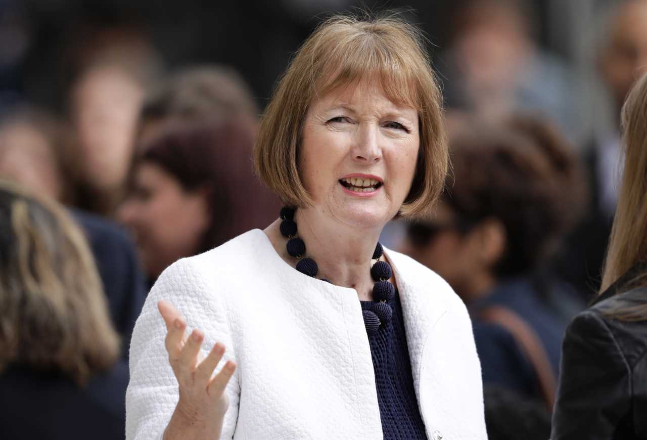 Labour’s Harriet Harman slammed as she demands Partygate diaries and texts from Boris Johnson despite resignation