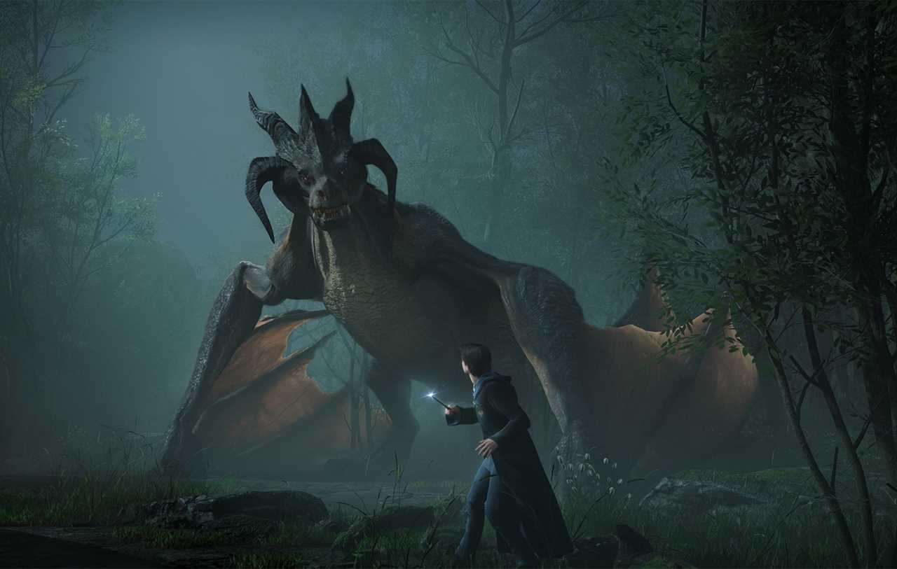 A wizard faces off against a dragon in Hogwarts Legacy. 
