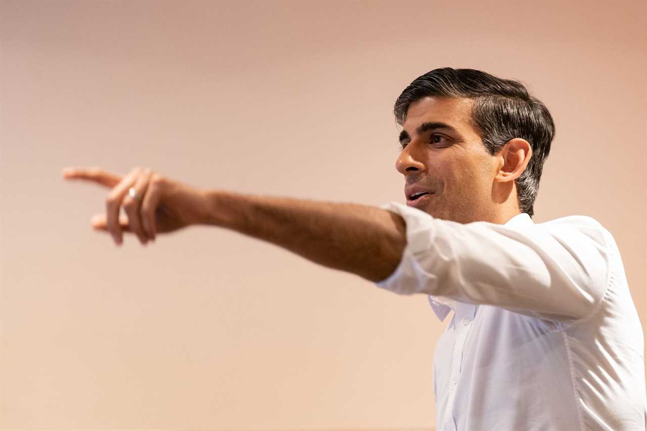 Rishi Sunak is more popular with swing voters than Liz Truss, new poll shows