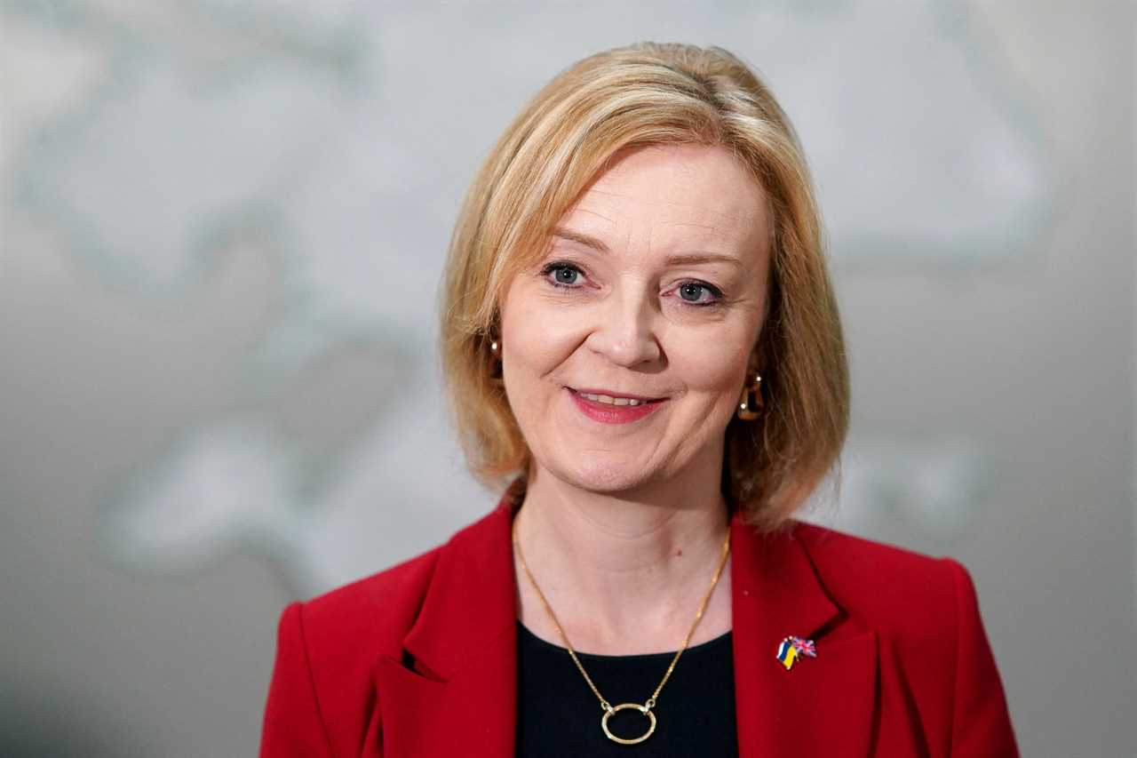 Liz Truss vows to swing the axe on higher taxes and drive skills revolution if she gets keys to No10