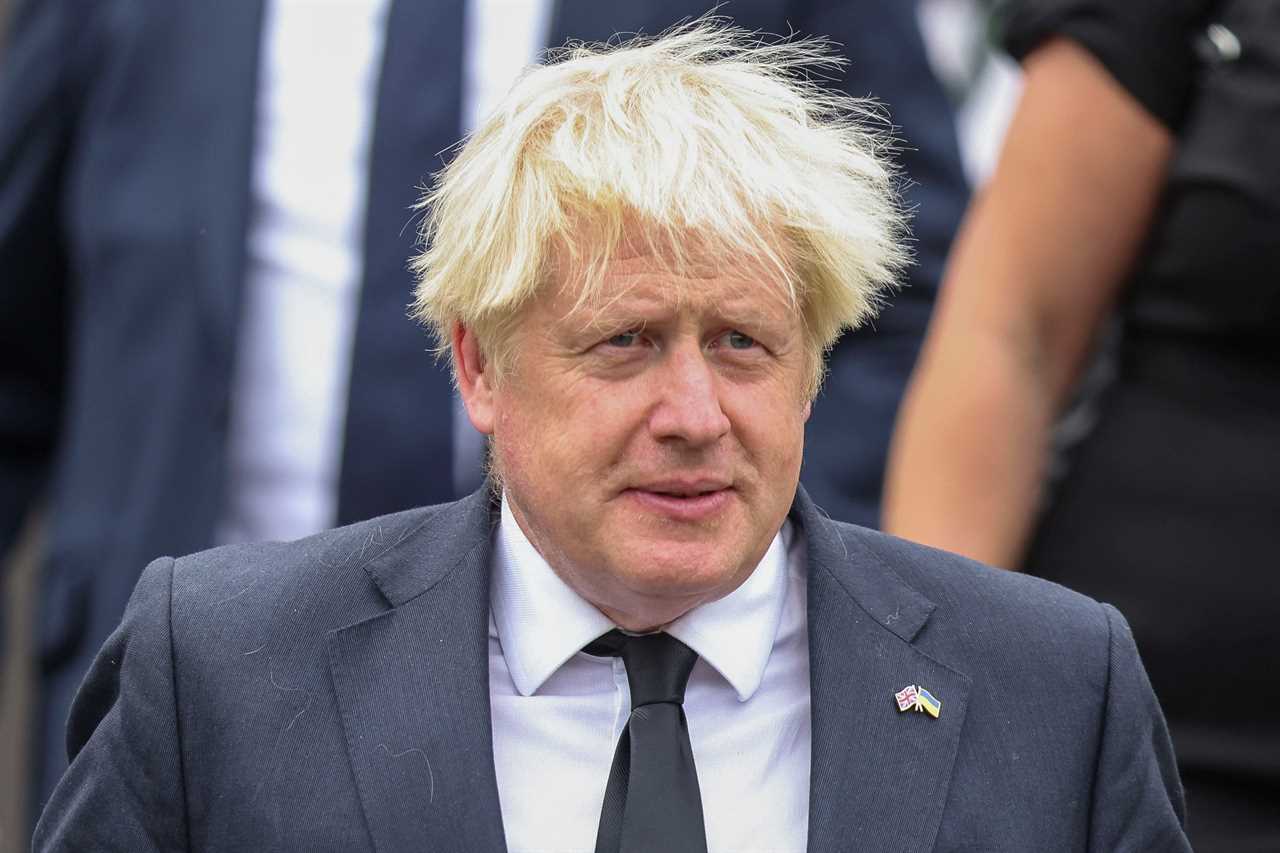 A third of Tories ‘would vote for Boris Johnson to be leader again’ despite slew of scandals which prompted brutal coup