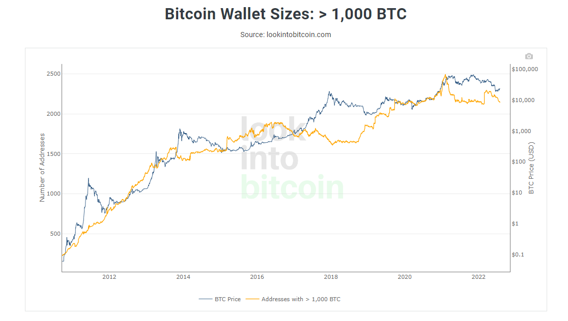 BTC wholecoiners up by 40K since June crash began