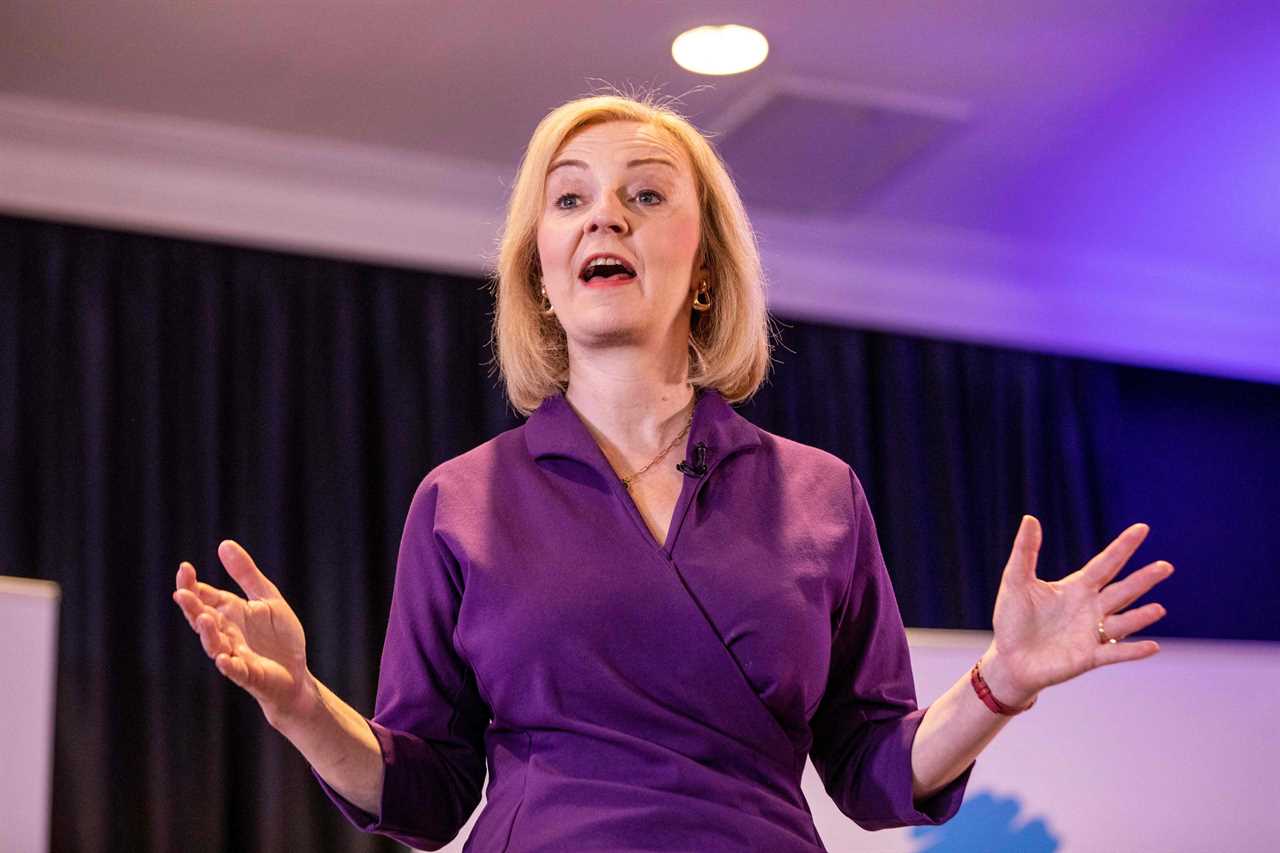 Liz Truss and Rishi Sunak warned that tax taxes ‘could tear bigger hole in public purse’