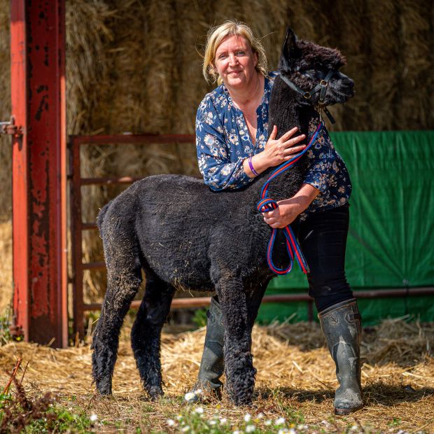 Geronimo with us ‘in spirit’ and I’ll never give up fight to clear his name, owner vows one year on from tragic death