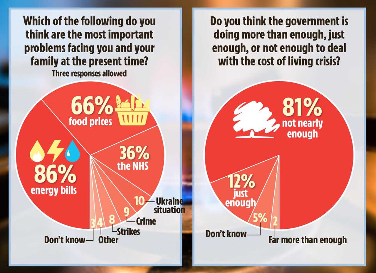 Sun on Sunday poll sends warning to Liz Truss as 81% Brits say Tories not giving enough aid