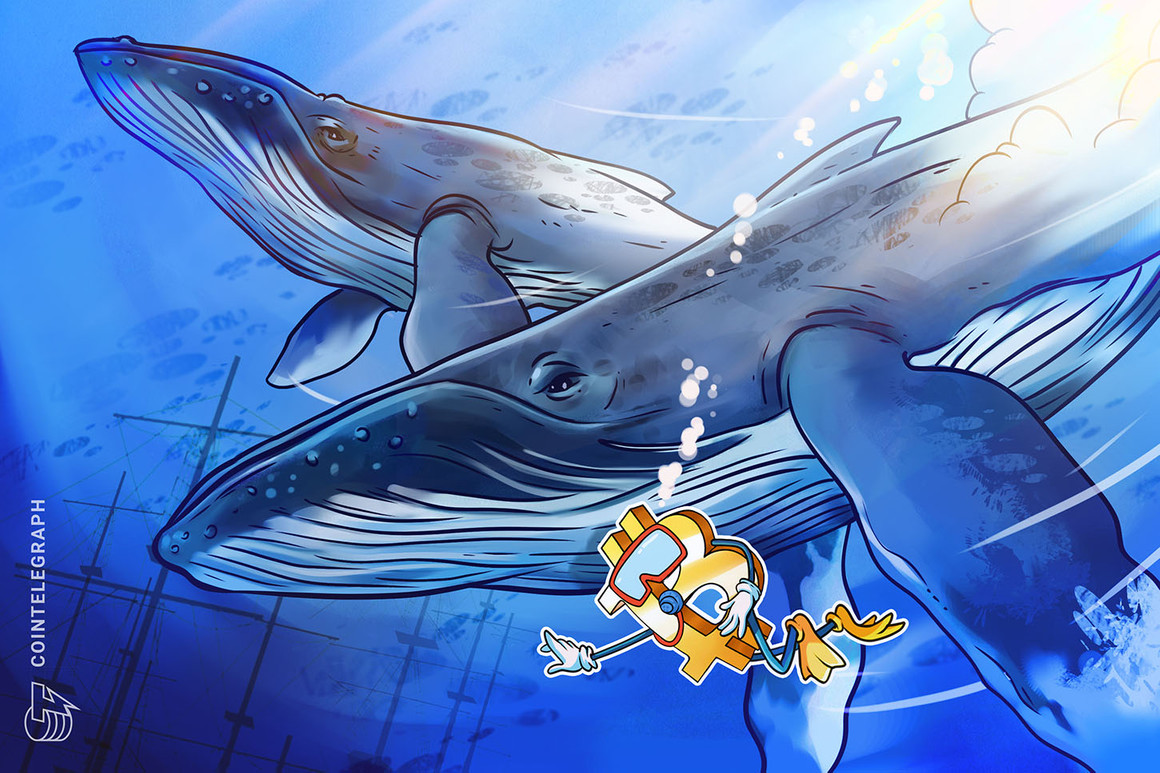 BTC price nears $21.7K as whales boost Bitcoin 'almost perfectly'