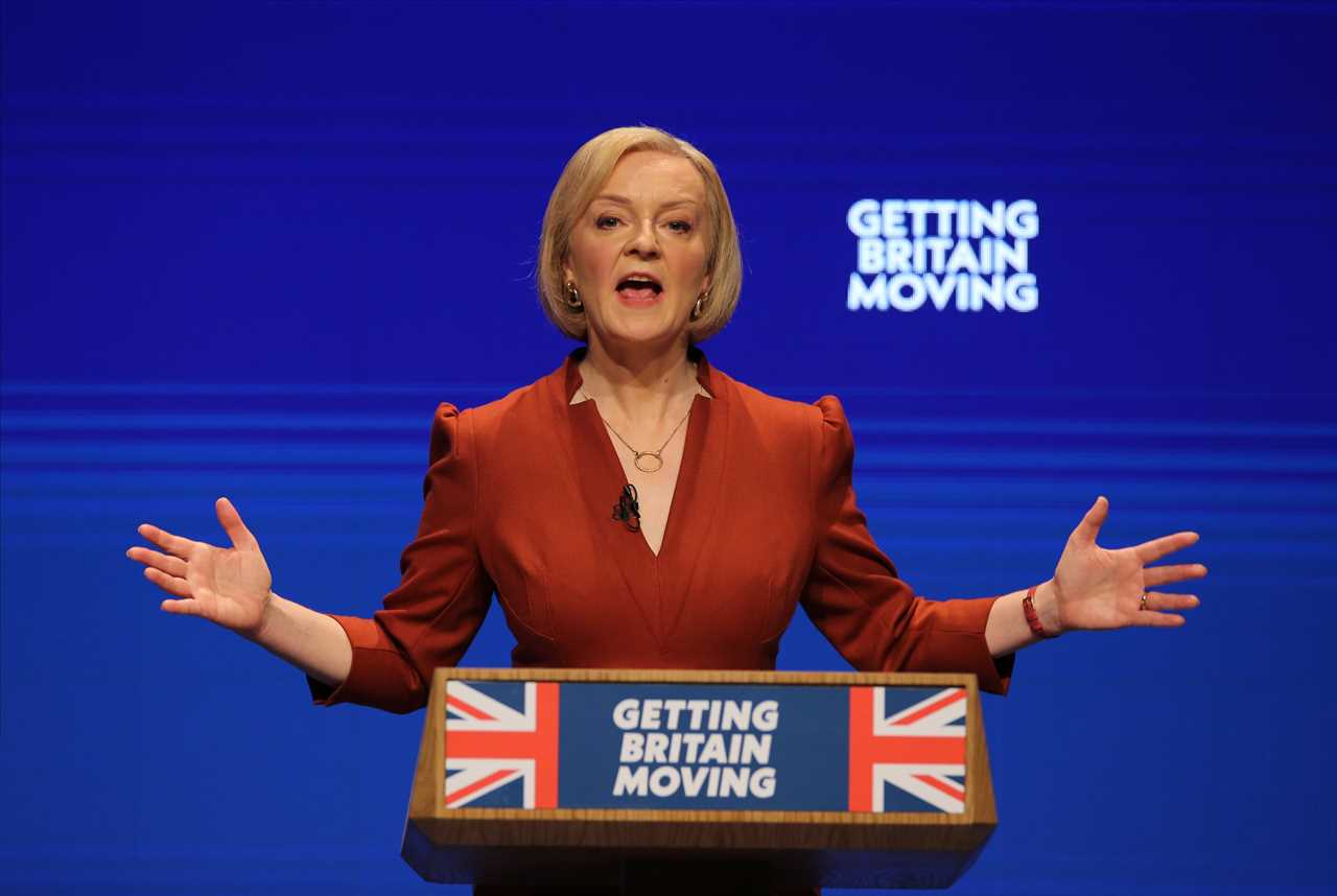 Liz Truss could give EU judges oversight in Northern Ireland FOREVER to get Brussels to relax over zealous border checks