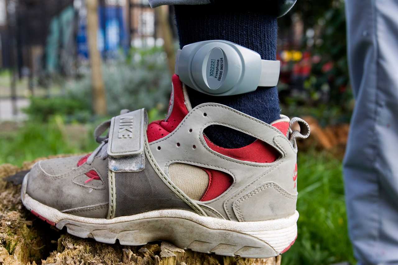 Thieves and burglars to be fitted with GPS ankle tags to cut down on reoffending