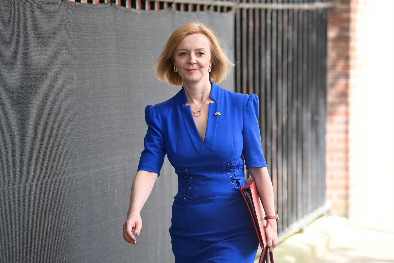 Dirty dossier about Liz Truss’s affair, ‘predatory behaviour’ and possible sex tape could have stopped her being PM